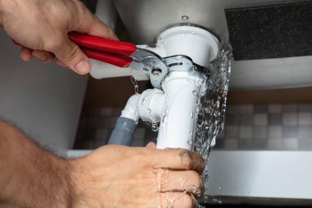 Best Flooded house restoration  in Arcadia, SC