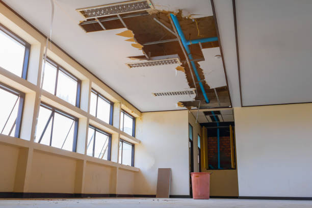 Best 24-hour water damage restoration  in Arcadia, SC