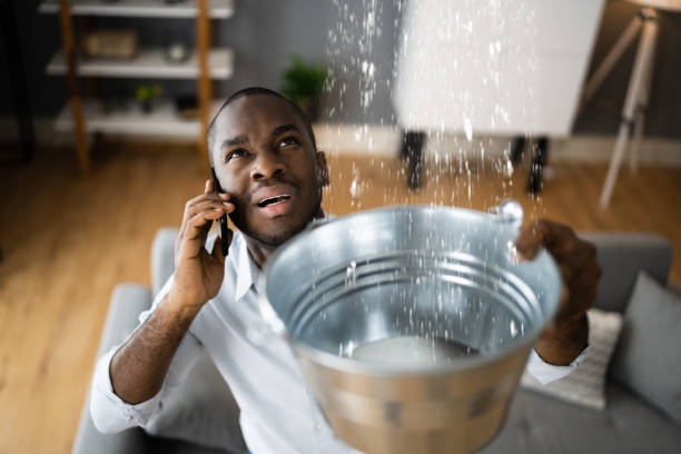 Best Residential water damage restoration  in Arcadia, SC