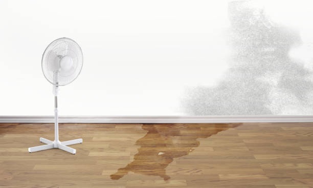  Arcadia, SC Water damage restoration Pros