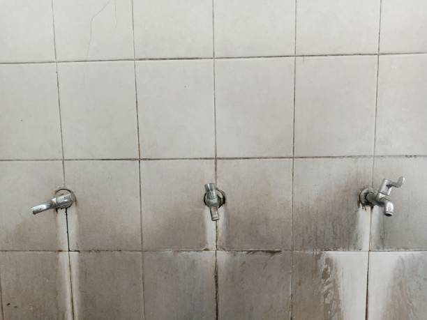 Best Water damage restoration process  in Arcadia, SC