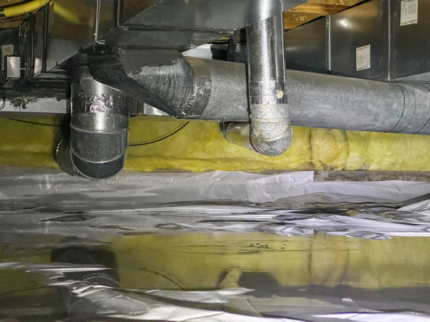 Best 24/7 water damage repair  in Arcadia, SC
